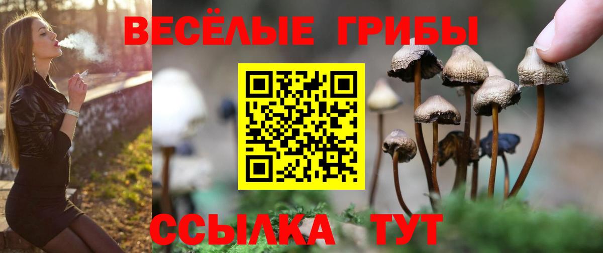 Псилоцибиновые грибы GOLDEN TEACHER  Вход с VPN  Галлюциногенные грибы мухоморы  Воскресенск 